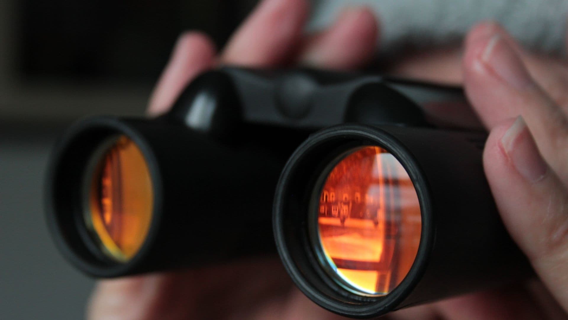 Close-up of binoculars held in hand, coated lenses with orange reflections