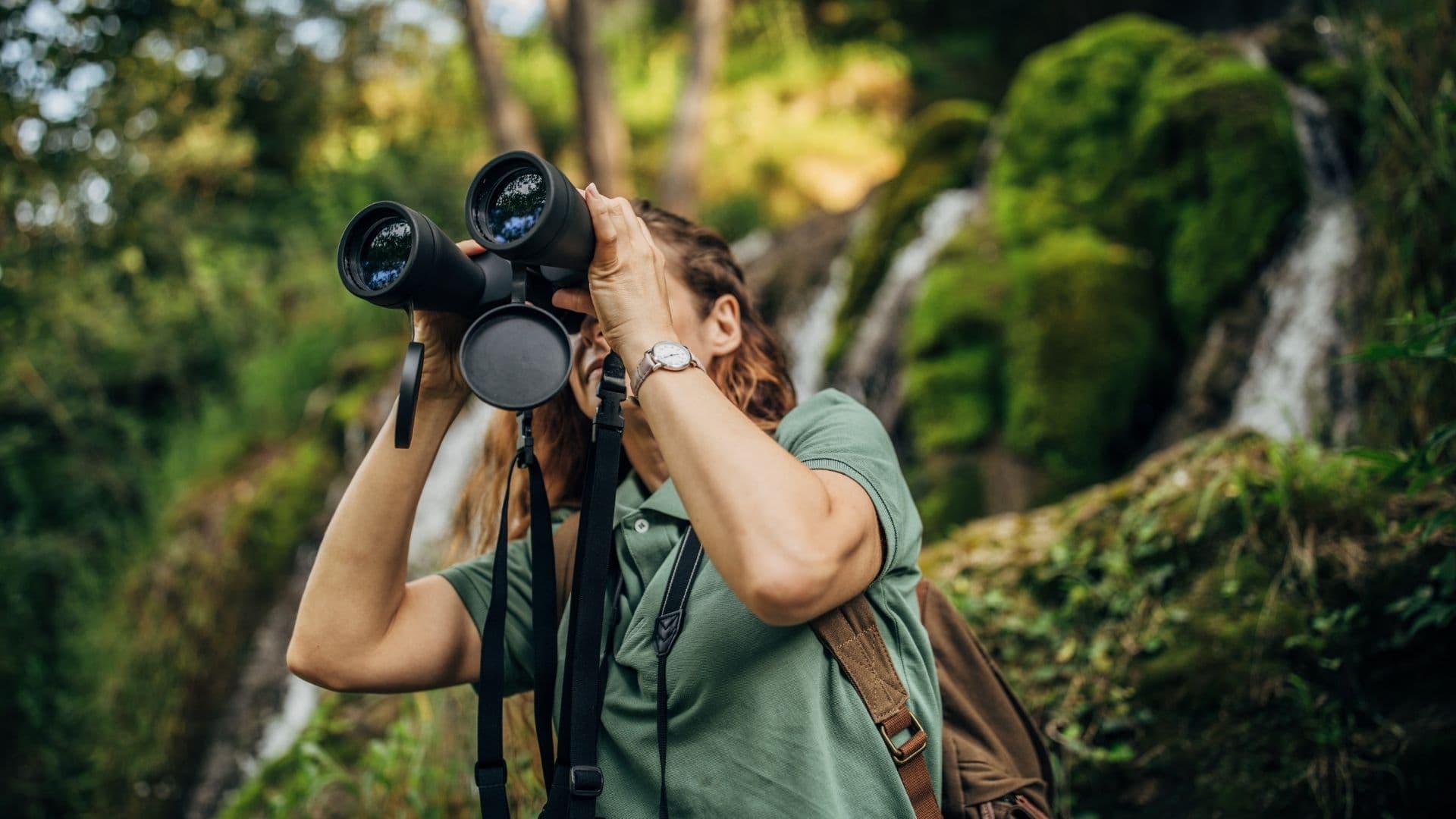A hiker watches wildlife with binoculars in front of a forest waterfall