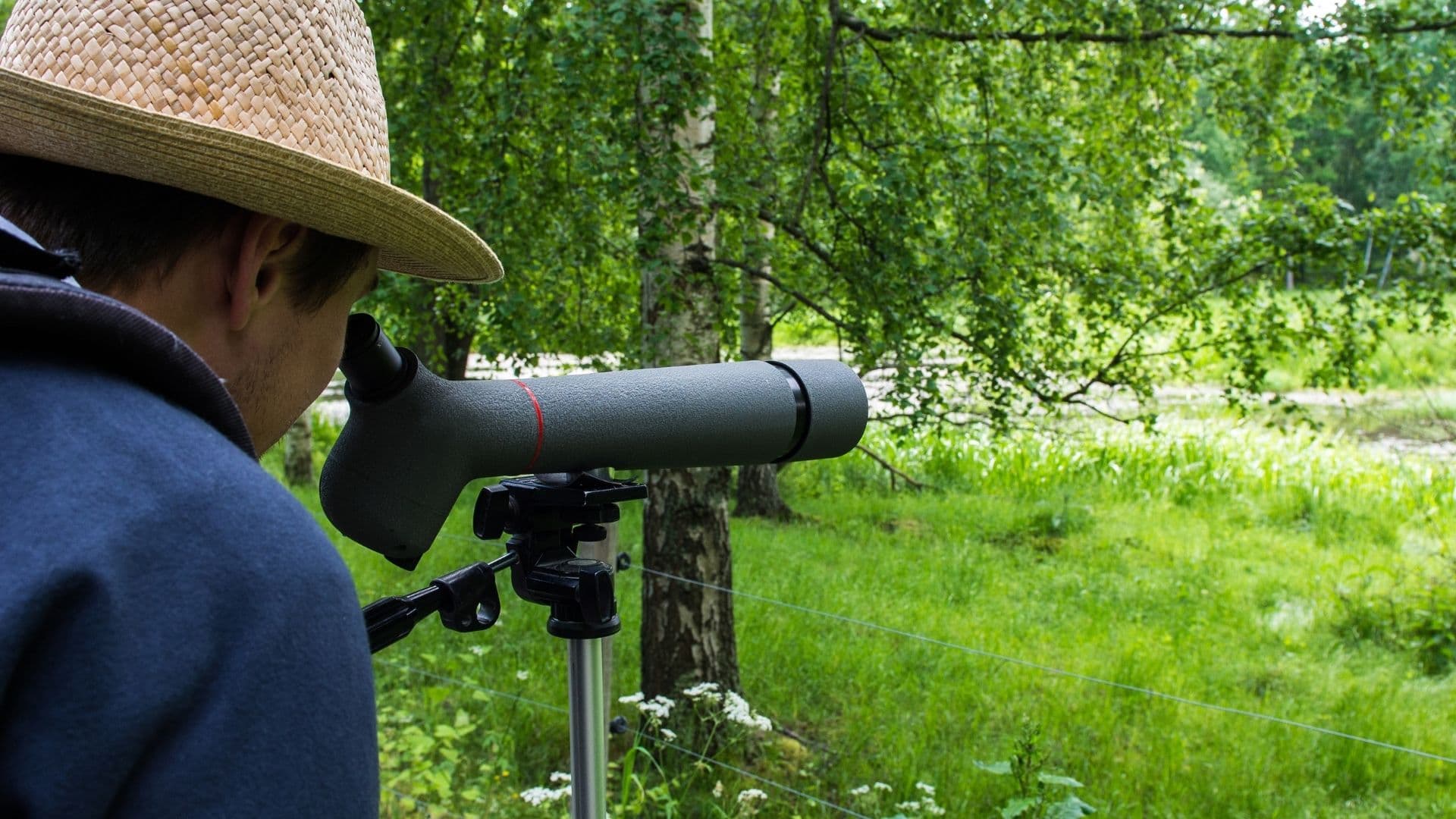Observateur utilisant une longue-vue coudée sur trépied en forêt