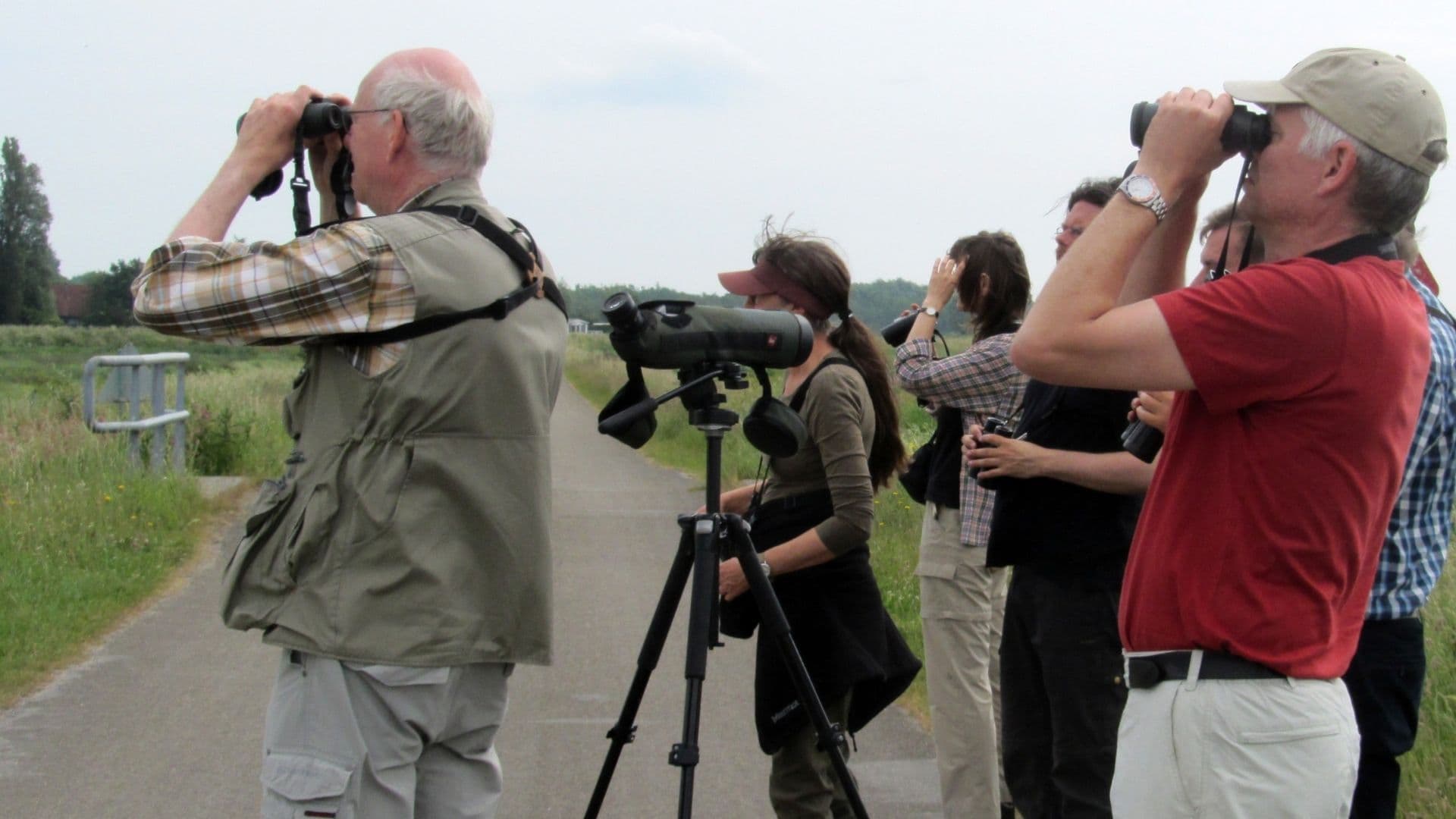 Groupe d'ornithologues observant avec une longue-vue sur trépied et des jumelles